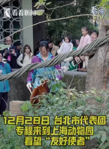 台北上海动物交换合作