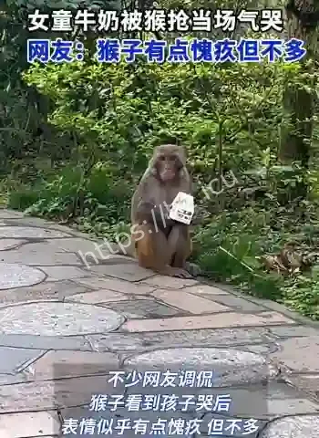 2岁女童黔灵山公园玩耍